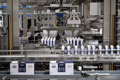 同心筑夢攜手開新篇 寧夏用心用情用力作好產(chǎn)業(yè)轉(zhuǎn)移發(fā)展對接大文章